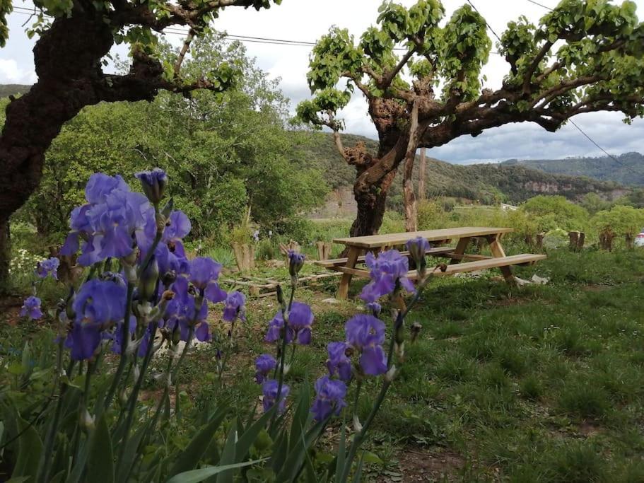 Thoiras Proche Baignade, La Bergerie De Claire 빌라 외부 사진
